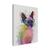 Trademark Fine Art Fab Funky 'Rainbow Splash Cat 2' Canvas Art, 35x47 WAG00122-C3547GG
